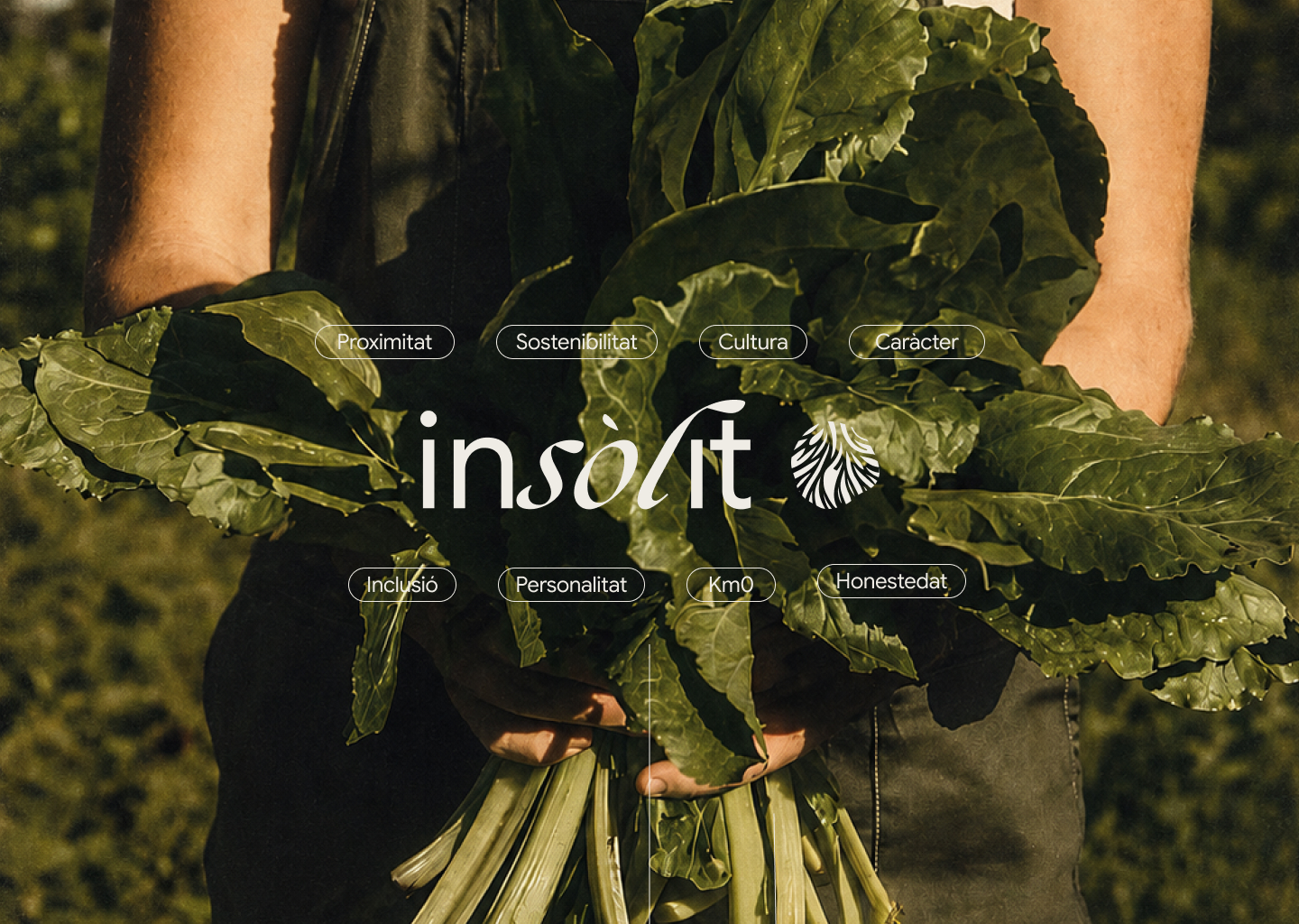 Insòlit 1