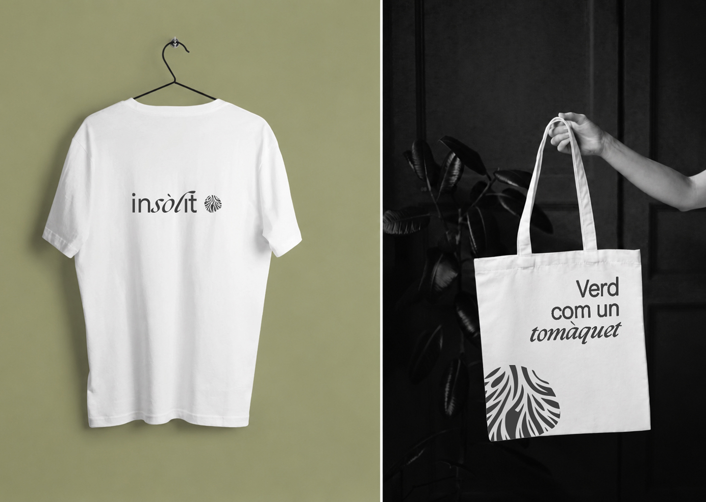 Insòlit 11